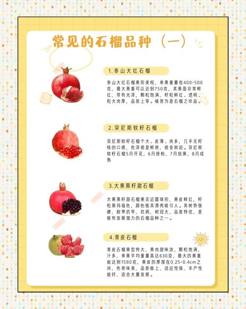 吃石榴有什么好