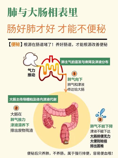 减肥的人为什么便秘怎么办