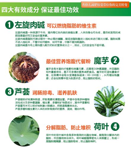 调理肠道吃什么能减肥
