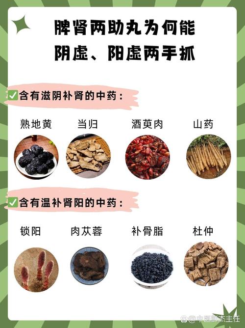 脾阳虚吃什么药最好