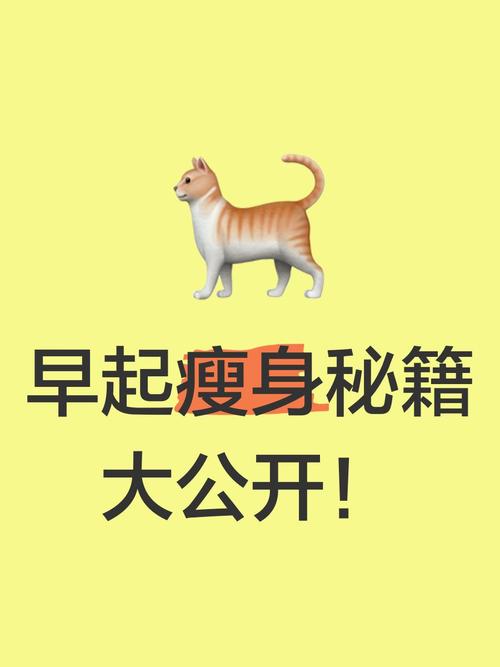 早晨起床适合什么运动减肥