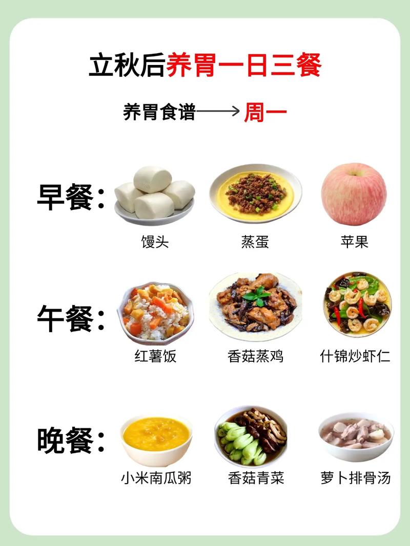 早晨吃什么养胃还减肥