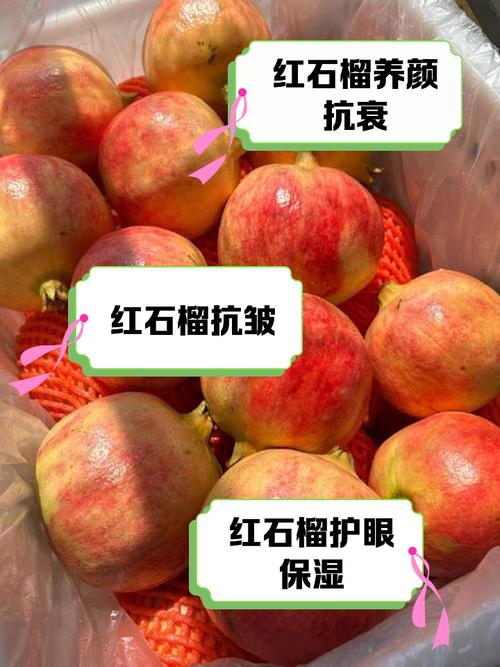 红石榴适合什么年龄