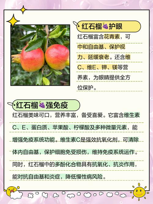 红石榴适合什么年龄