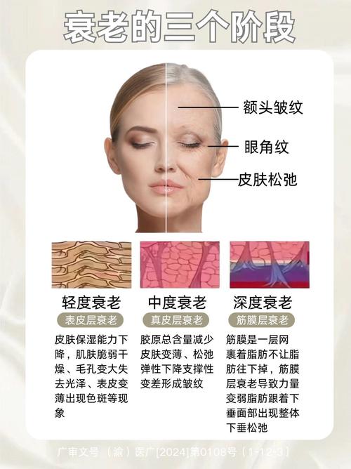 皮肤为什么衰老