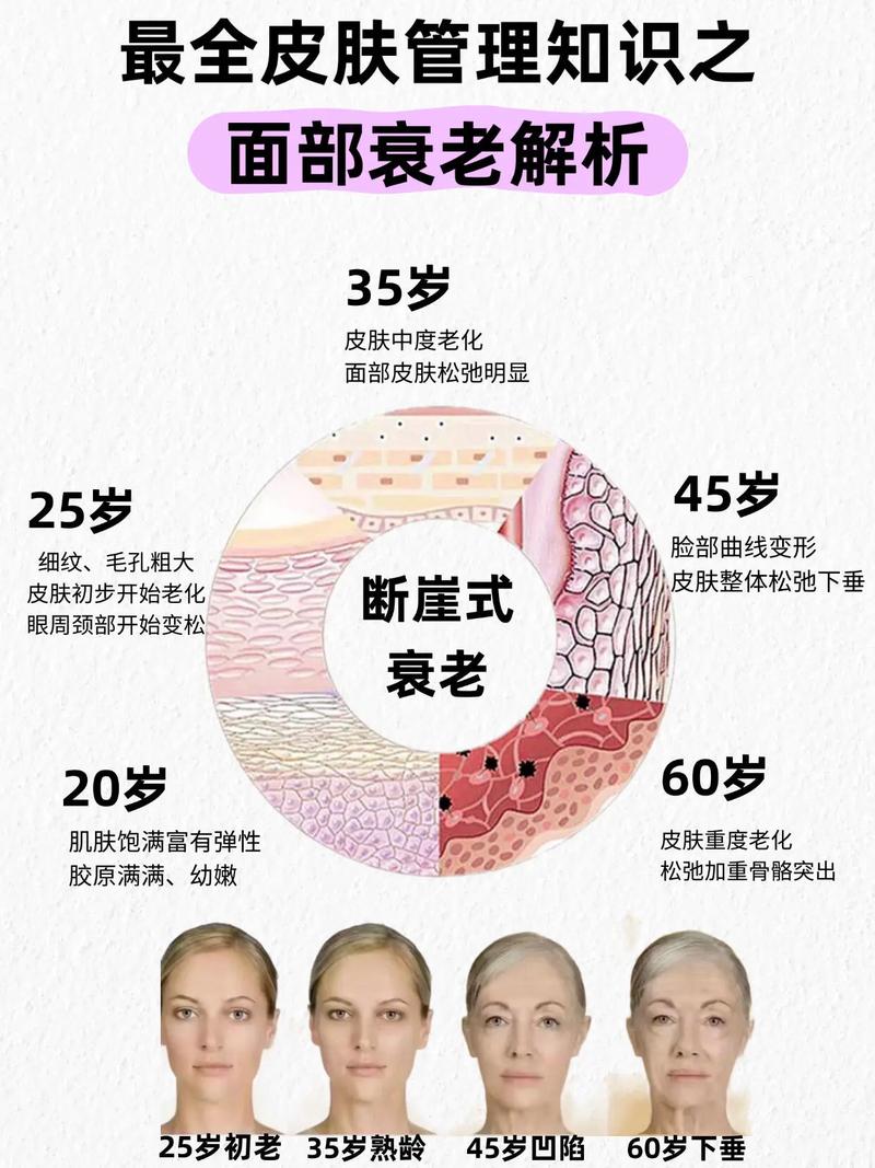 皮肤为什么衰老