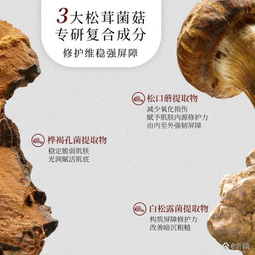 安利洗面奶怎么样