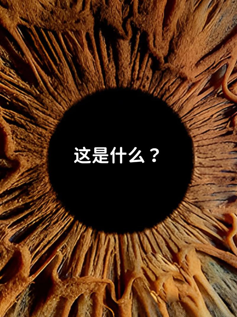我是什么眼睛