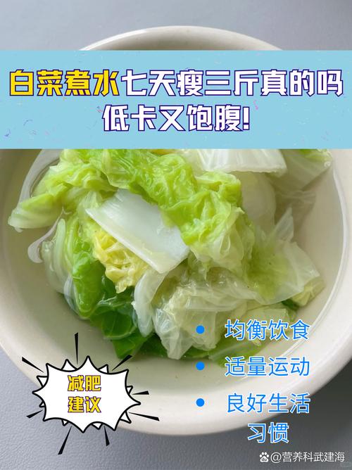 为什么水煮白菜减肥吗
