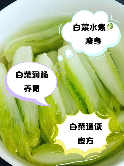 为什么水煮白菜减肥