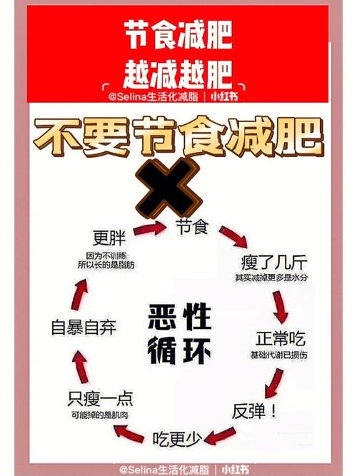 为什么节食能减肥