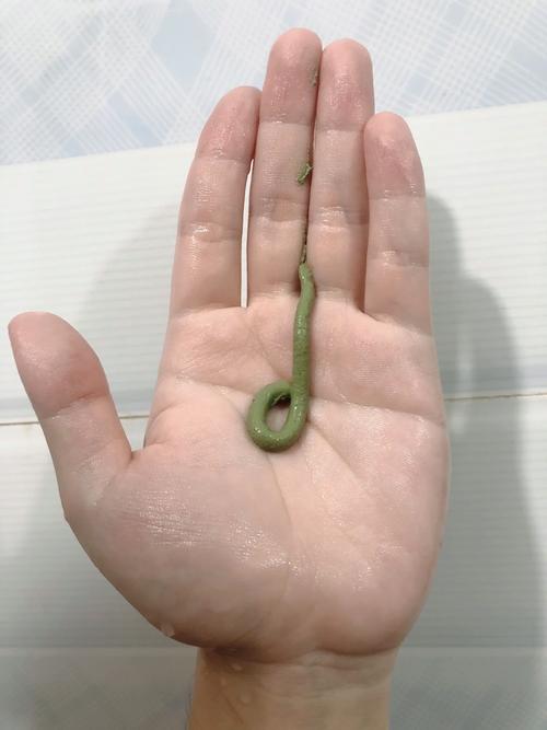 谜尚的洗面奶怎么样