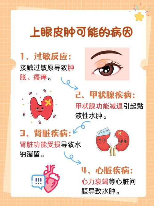 眼皮肿是什么原因引起