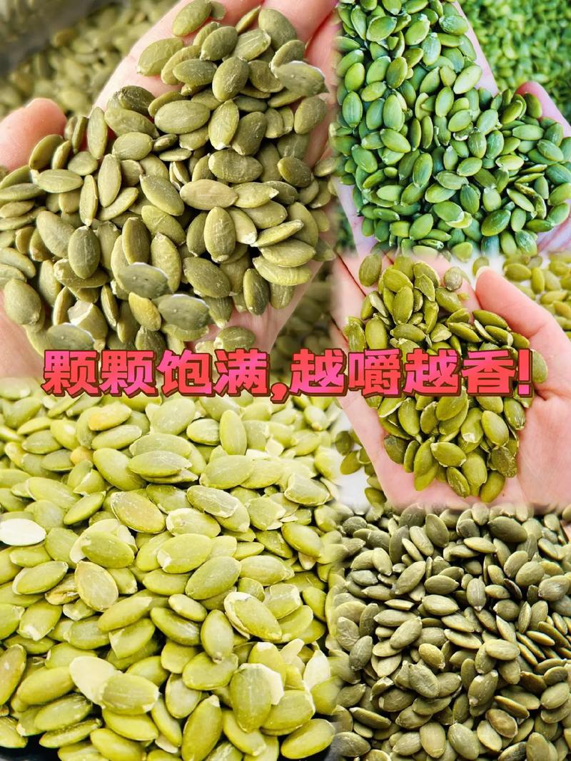 什么瓜子可以减肥吗