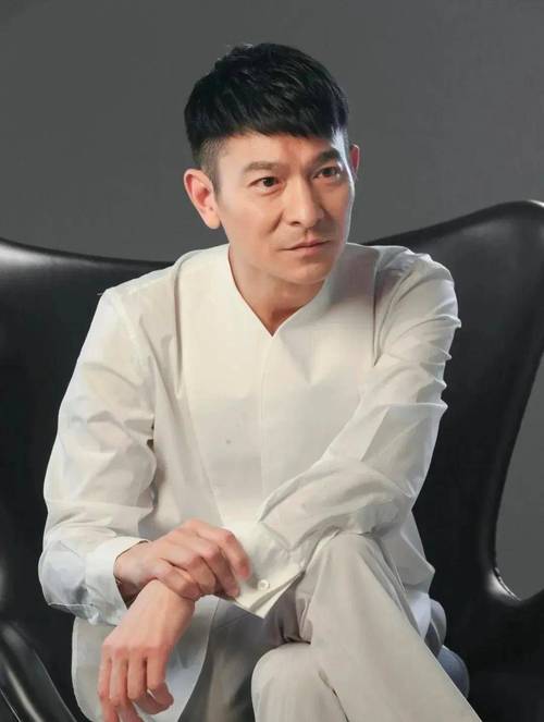 刘德华的发型叫什么