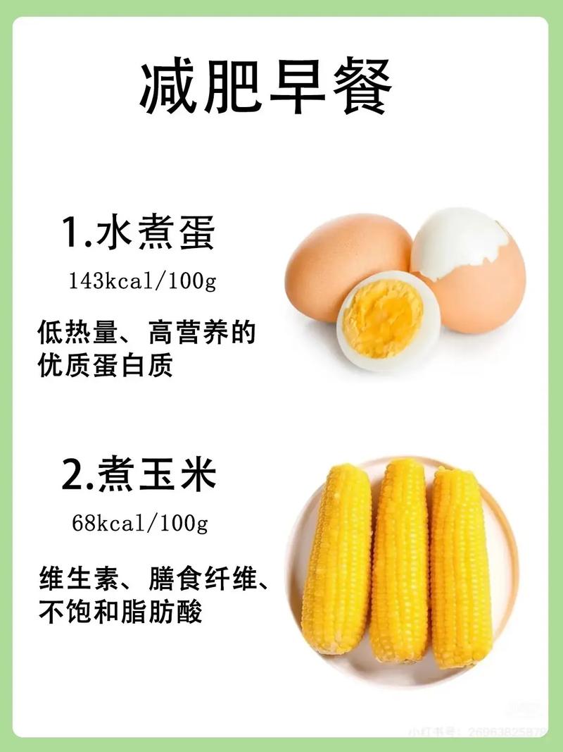 在早上吃什么可以减肥吗