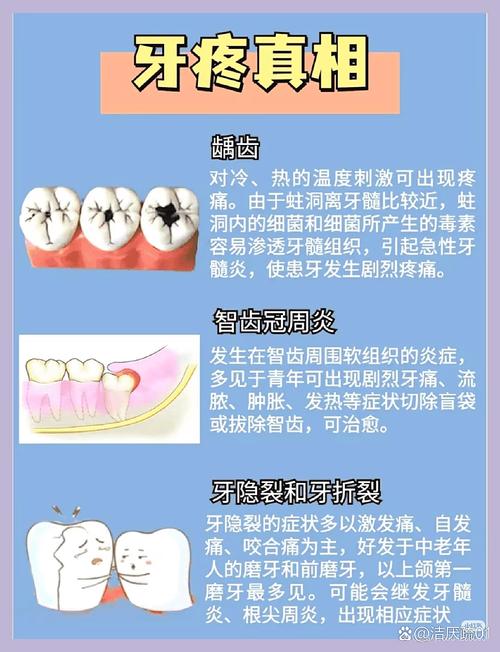 牙疼因为什么原因