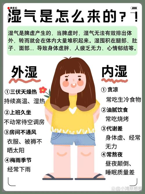 为什么体内有湿气