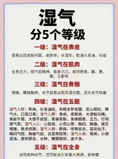 为什么体内有湿气