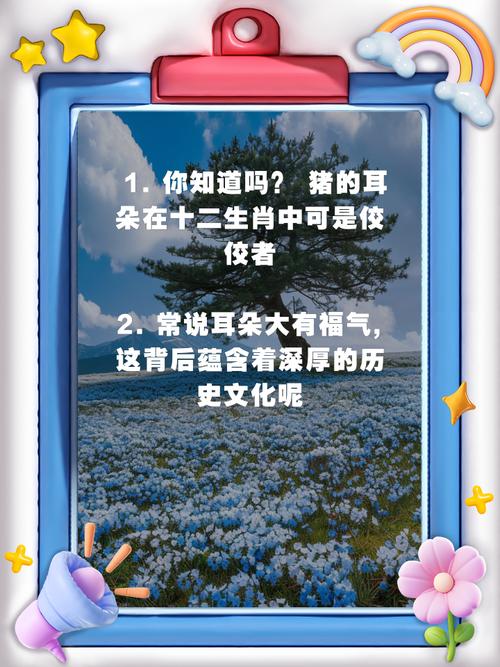 耳朵大小代表什么