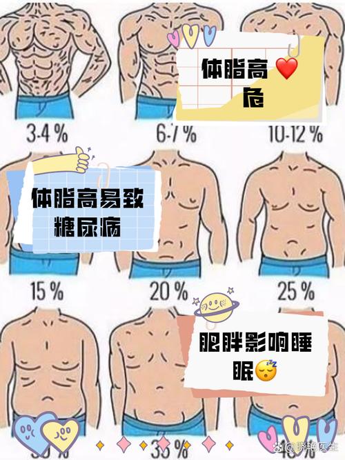 什么是脂肪率