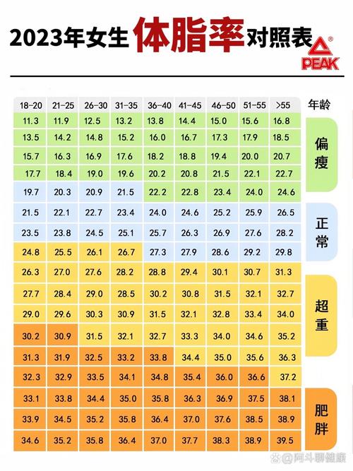 什么是脂肪率