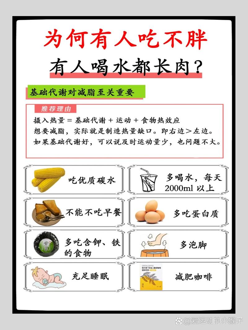 为什么别人吃不胖