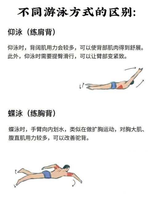 什么姿势游泳减肥
