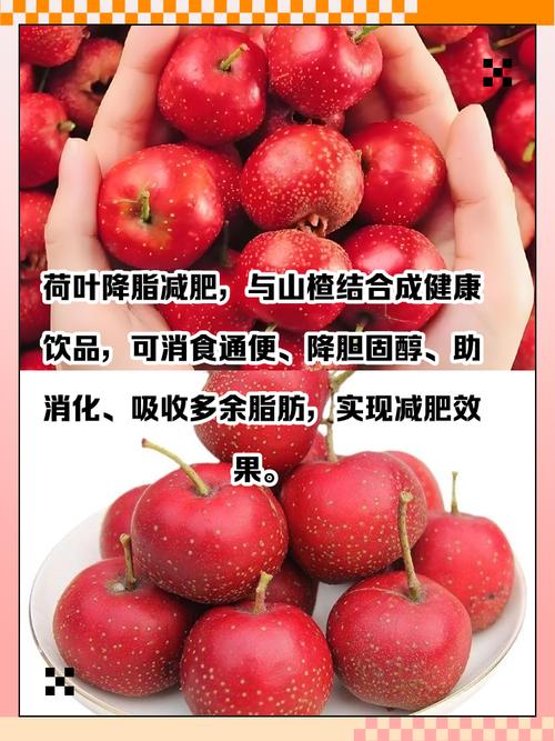 什么样的山楂能减肥效果