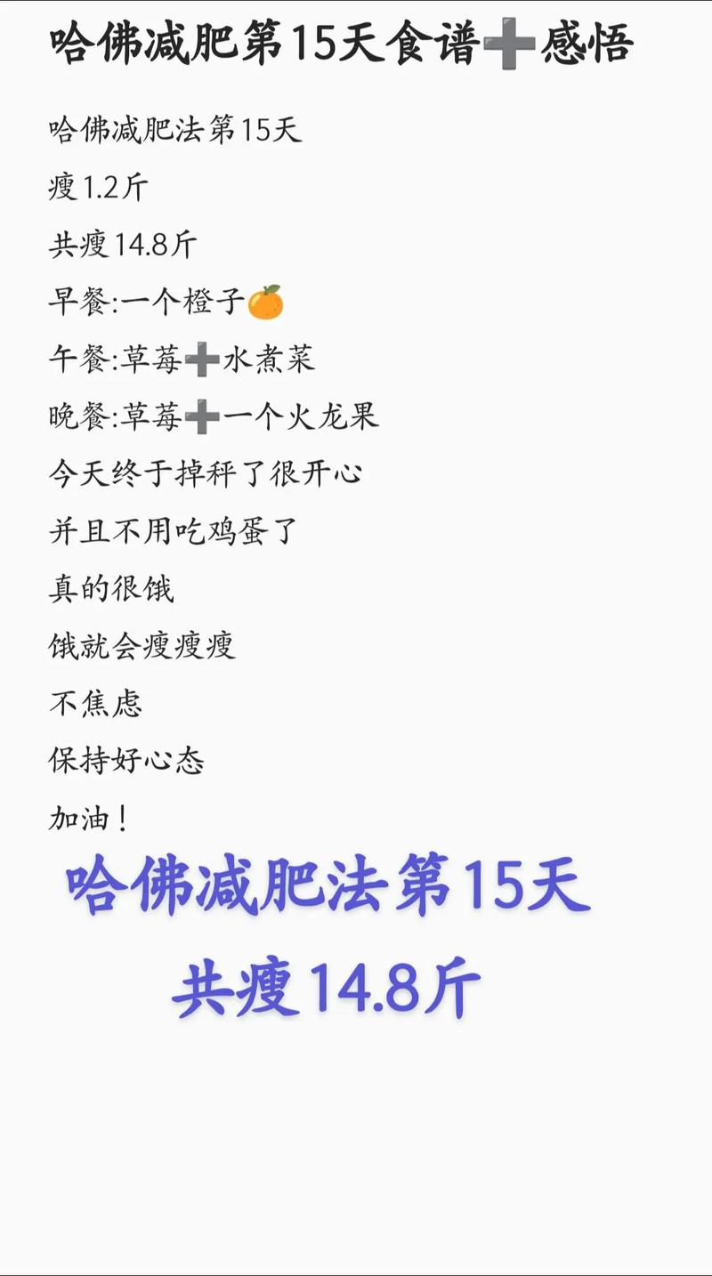 什么写减肥日记
