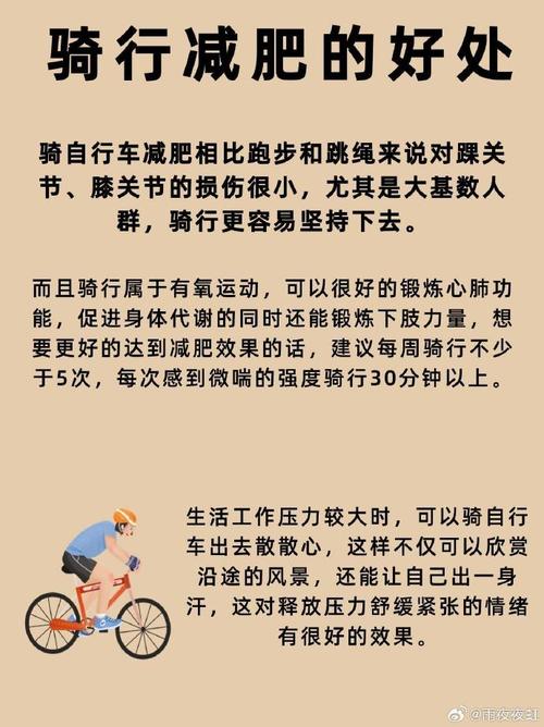 什么时候骑车减肥最好