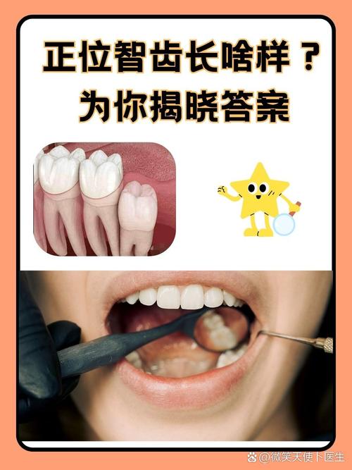 什么情况下长智齿