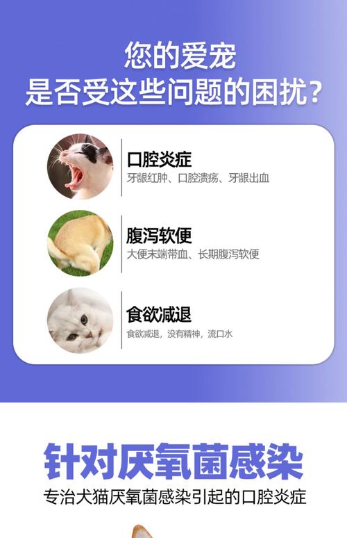 口臭牙龈出血吃什么药