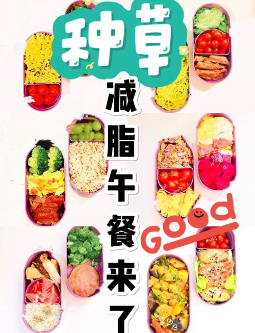 上班族中午饭吃什么减肥