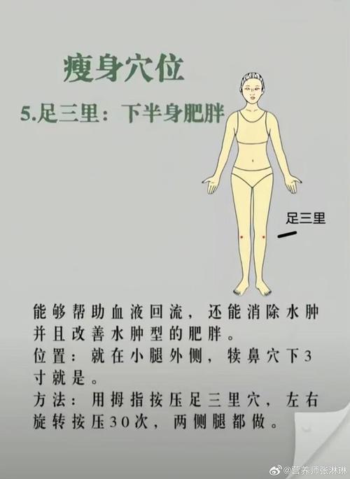敲什么经络可以减肥