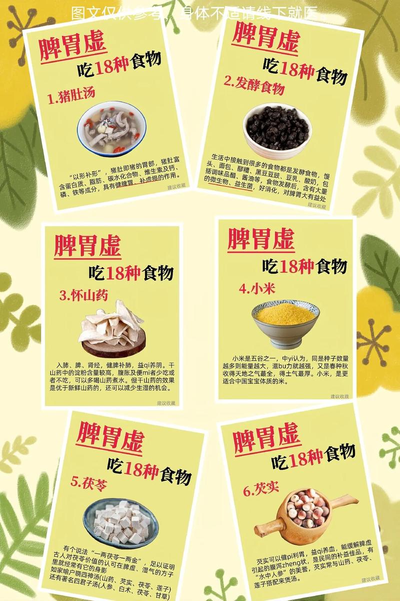 脾胃虚寒吃什么又减肥