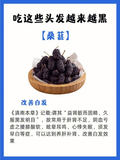 吃什么不会白头发