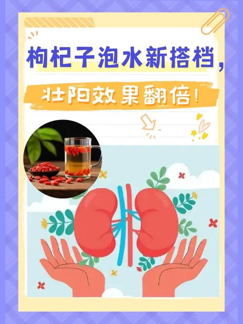 喝枸杞水有什么作用