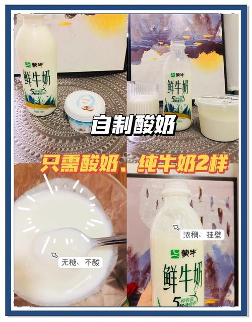 什么酸奶最减肥方法