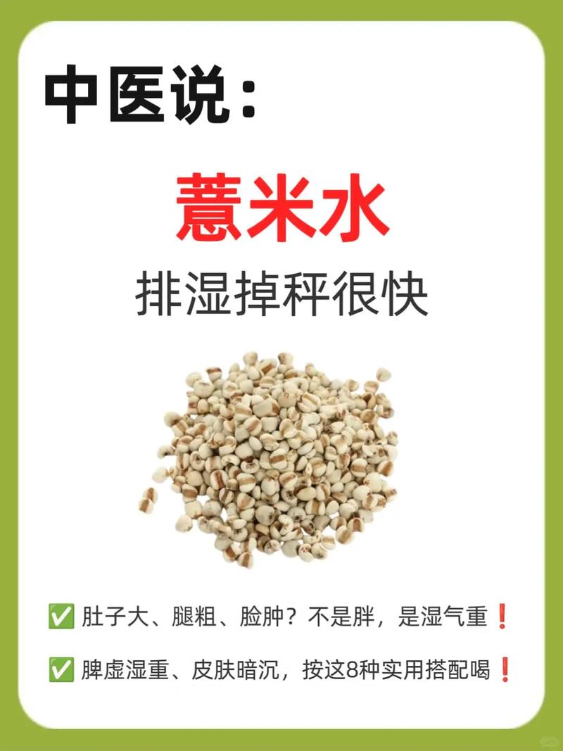 什么时候喝薏米水减肥