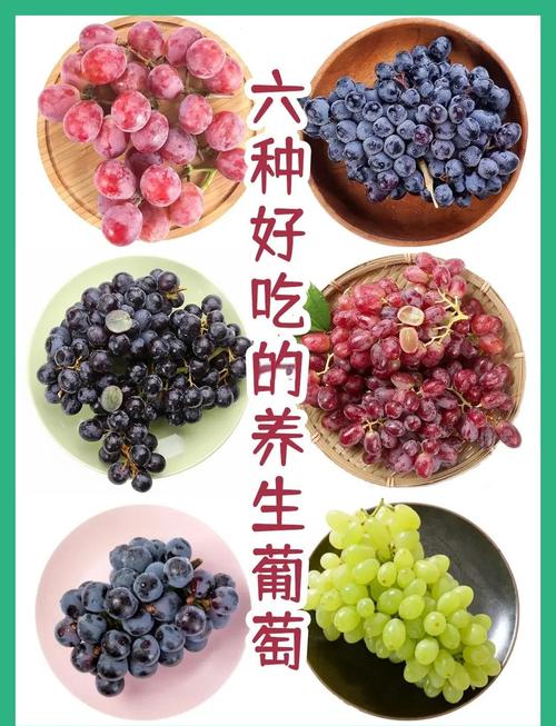 葡萄什么时段吃最减肥