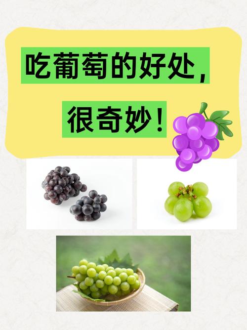 葡萄什么时段吃最减肥