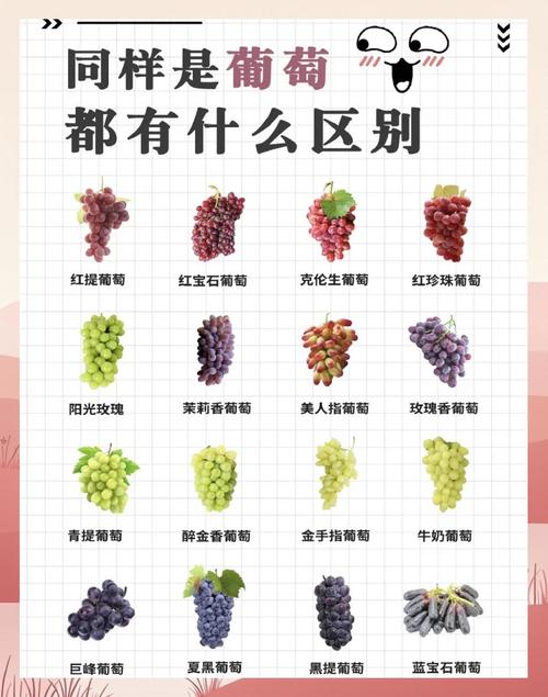 葡萄什么时段吃最减肥