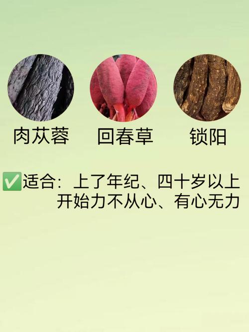 什么东西滋阴补肾