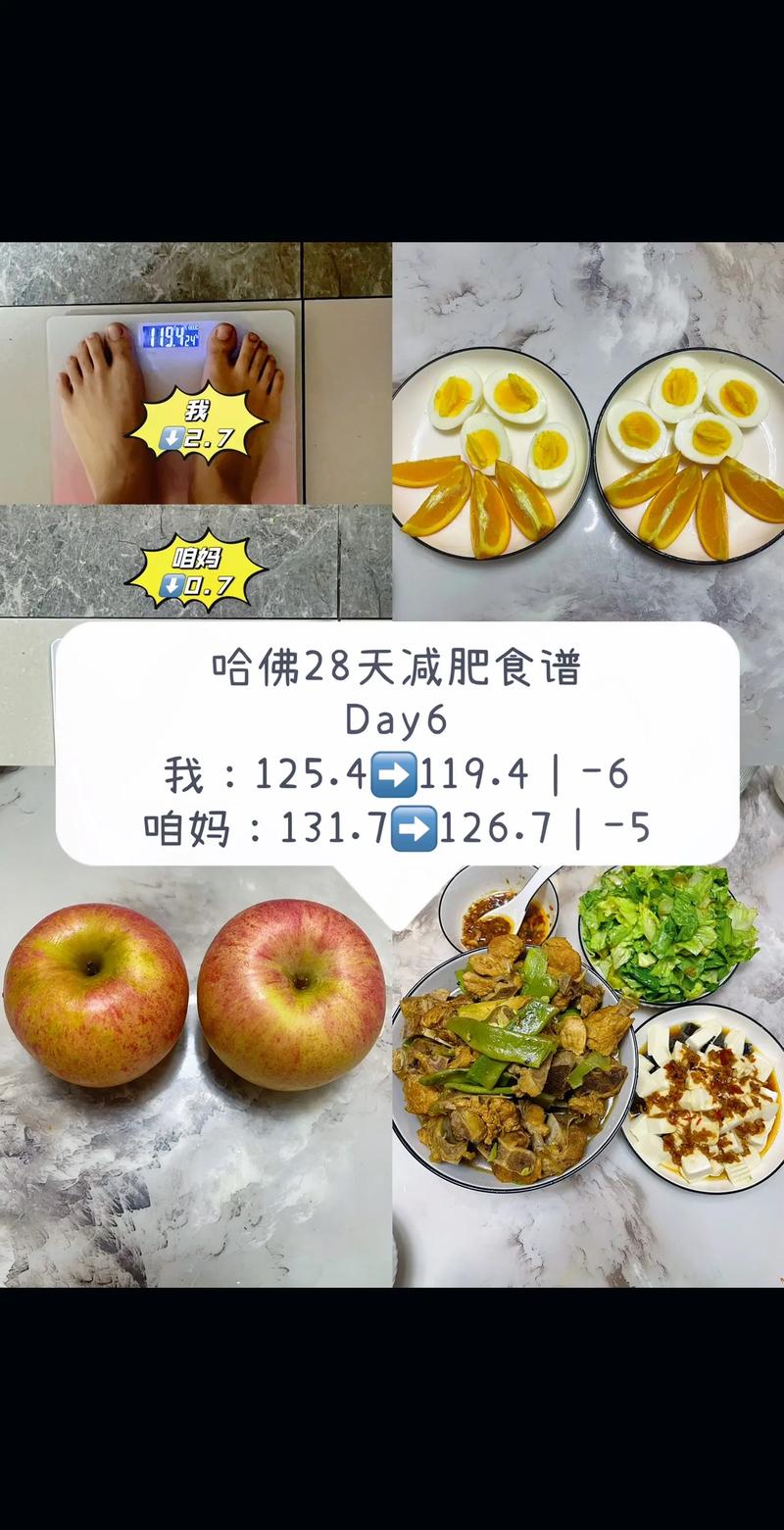 减肥第六天吃什么