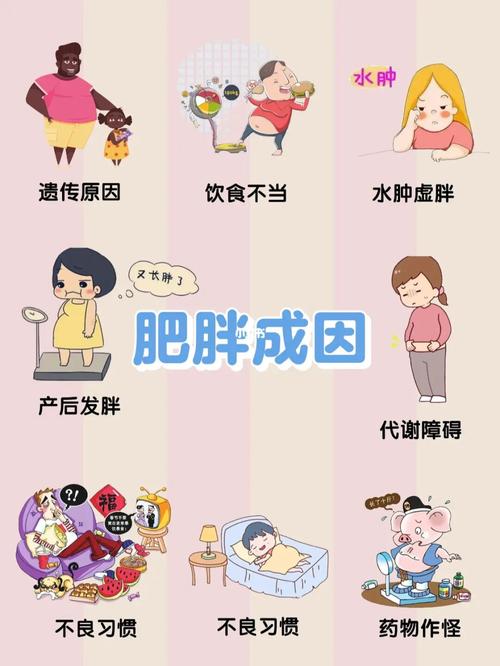 肥胖是什么原因引起的