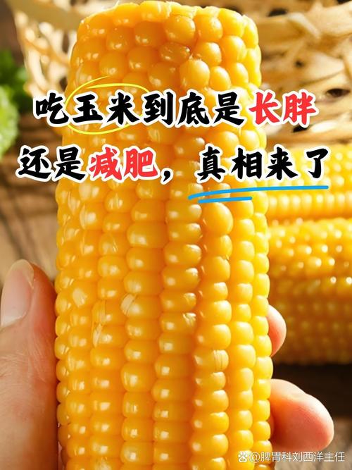 吃什么玉米会减肥吗