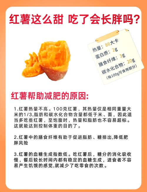 为什么早上吃地瓜减肥