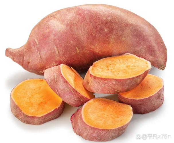 为什么早上吃地瓜减肥