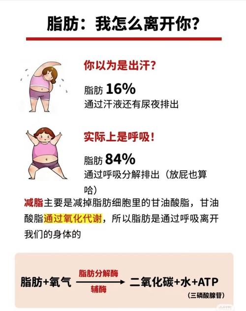 瘦吧减肥是什么原理